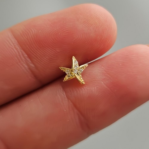 Sea Mini Deniz Yıldızı Küpe Gold
