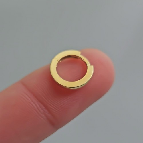 Basic Mini Halka Küpe Gold